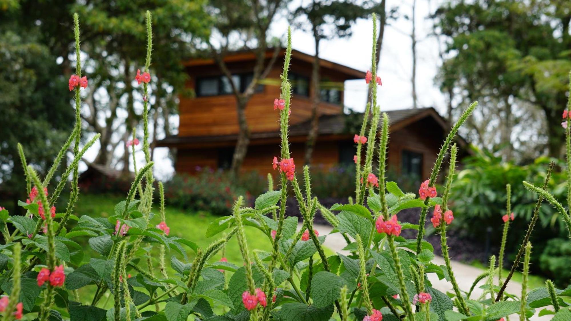 Lucero Golf And Country Club Tree Houses Boquete Dış mekan fotoğraf